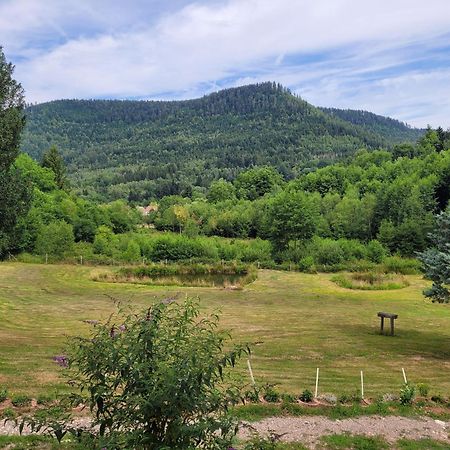 Gite Forestier Du Moulin Raon-sur-Plaine Exteriör bild