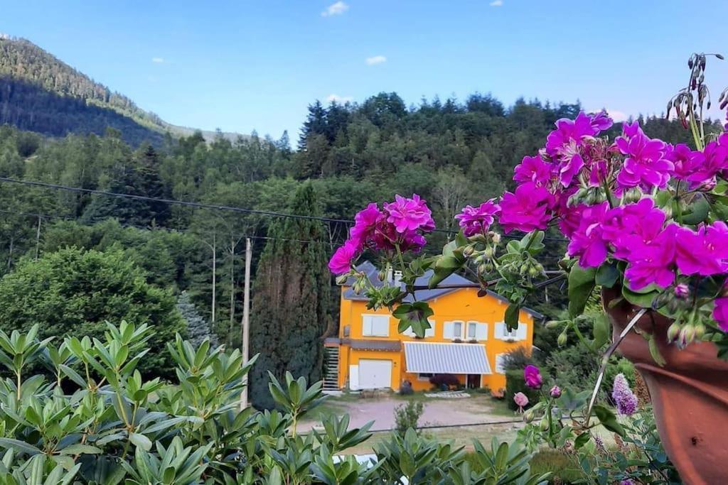 Gite Forestier Du Moulin Raon-sur-Plaine Exteriör bild
