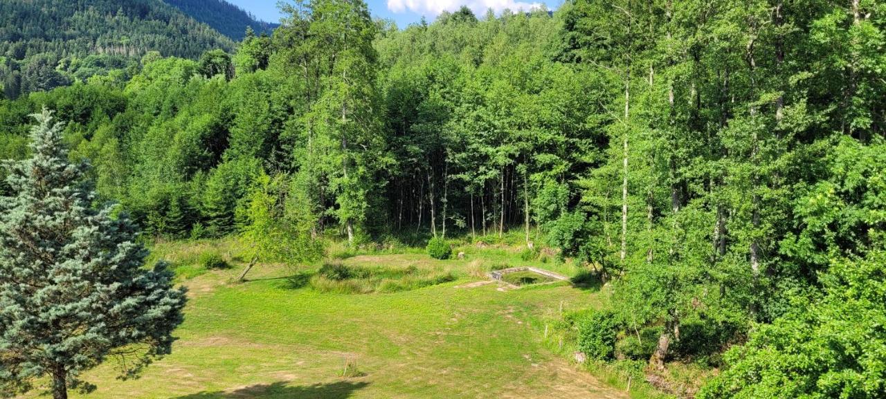 Gite Forestier Du Moulin Raon-sur-Plaine Exteriör bild