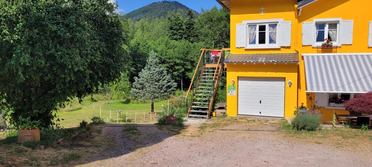 Gite Forestier Du Moulin Raon-sur-Plaine Exteriör bild
