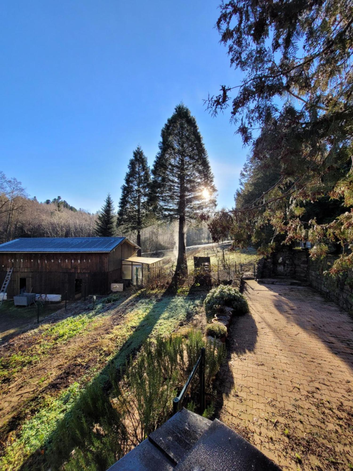 Gite Forestier Du Moulin Raon-sur-Plaine Exteriör bild