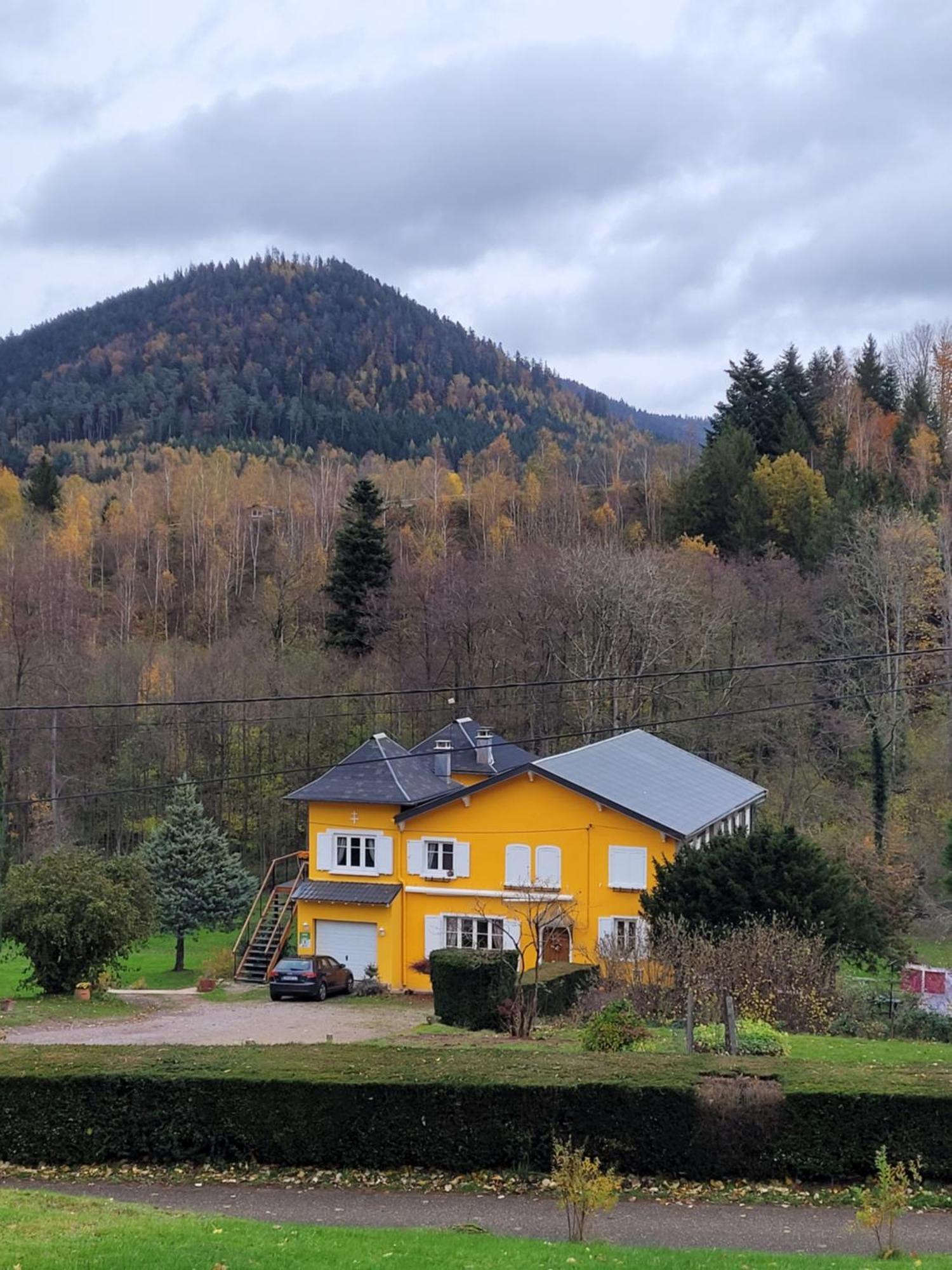Gite Forestier Du Moulin Raon-sur-Plaine Exteriör bild