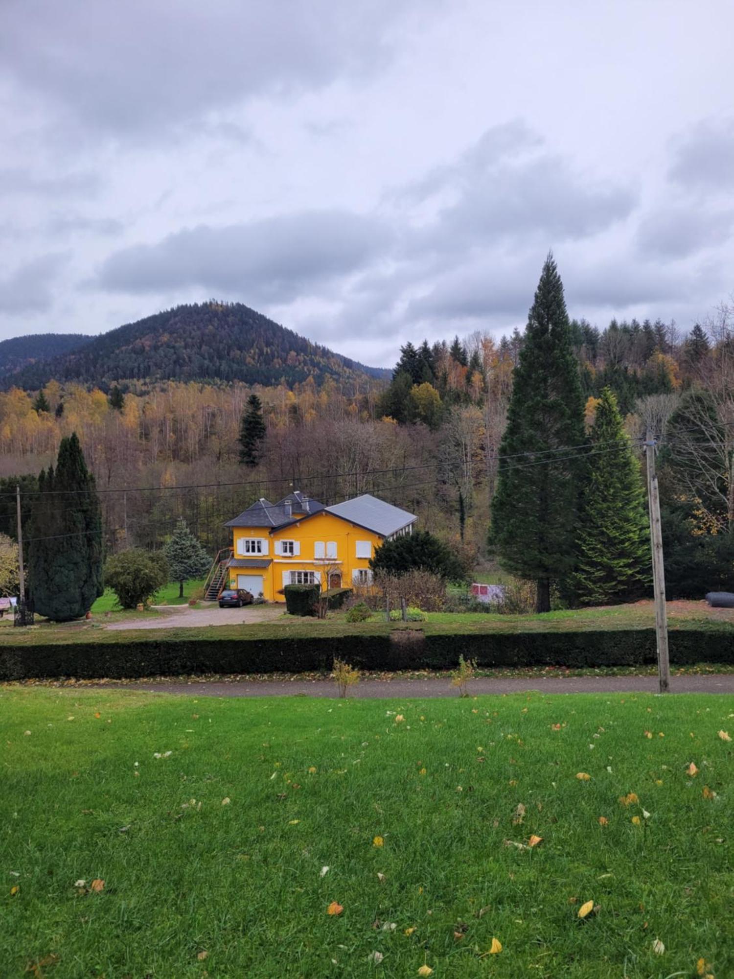 Gite Forestier Du Moulin Raon-sur-Plaine Exteriör bild