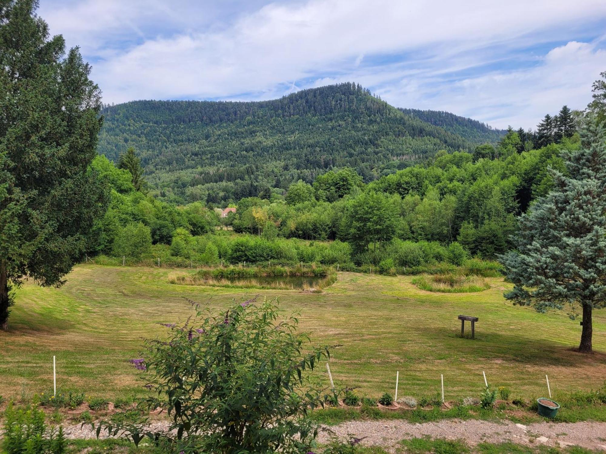Gite Forestier Du Moulin Raon-sur-Plaine Exteriör bild