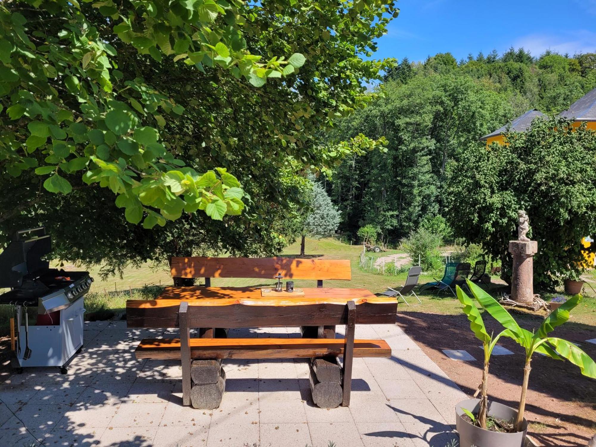 Gite Forestier Du Moulin Raon-sur-Plaine Exteriör bild