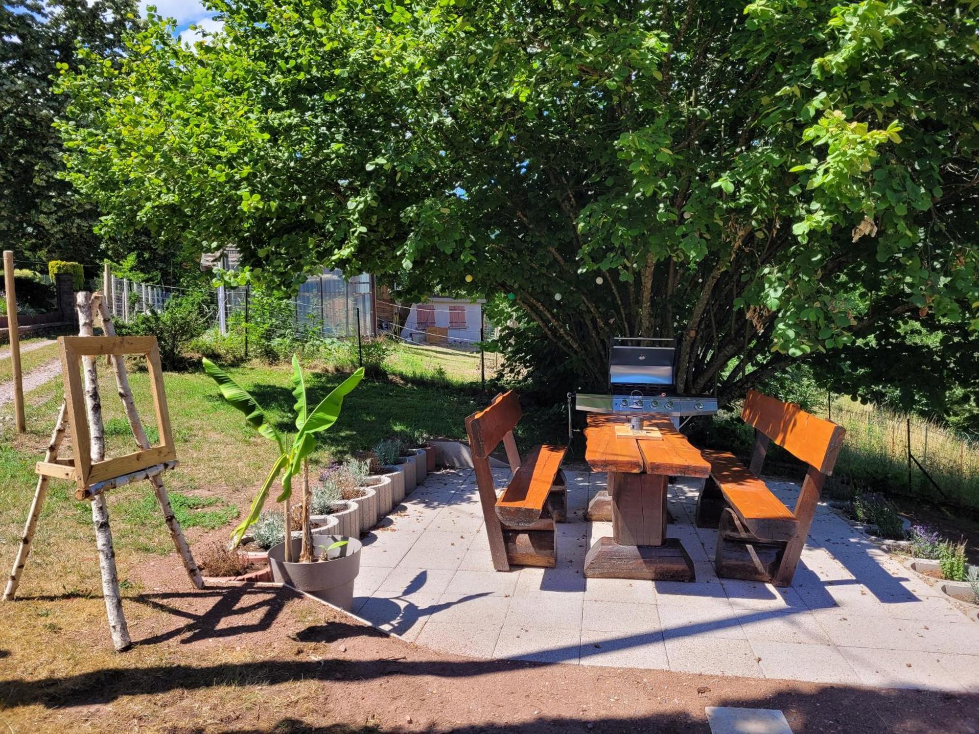 Gite Forestier Du Moulin Raon-sur-Plaine Exteriör bild