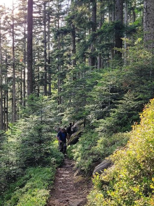 Gite Forestier Du Moulin Raon-sur-Plaine Exteriör bild