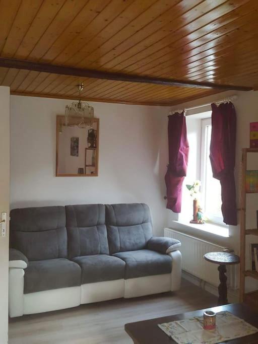 Gite Forestier Du Moulin Raon-sur-Plaine Exteriör bild