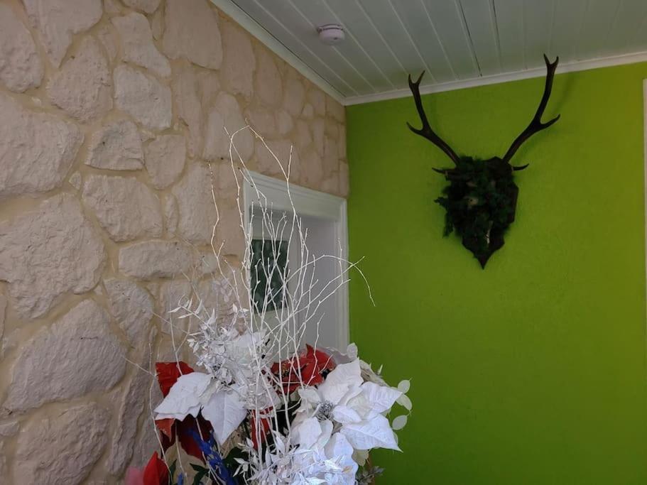 Gite Forestier Du Moulin Raon-sur-Plaine Exteriör bild