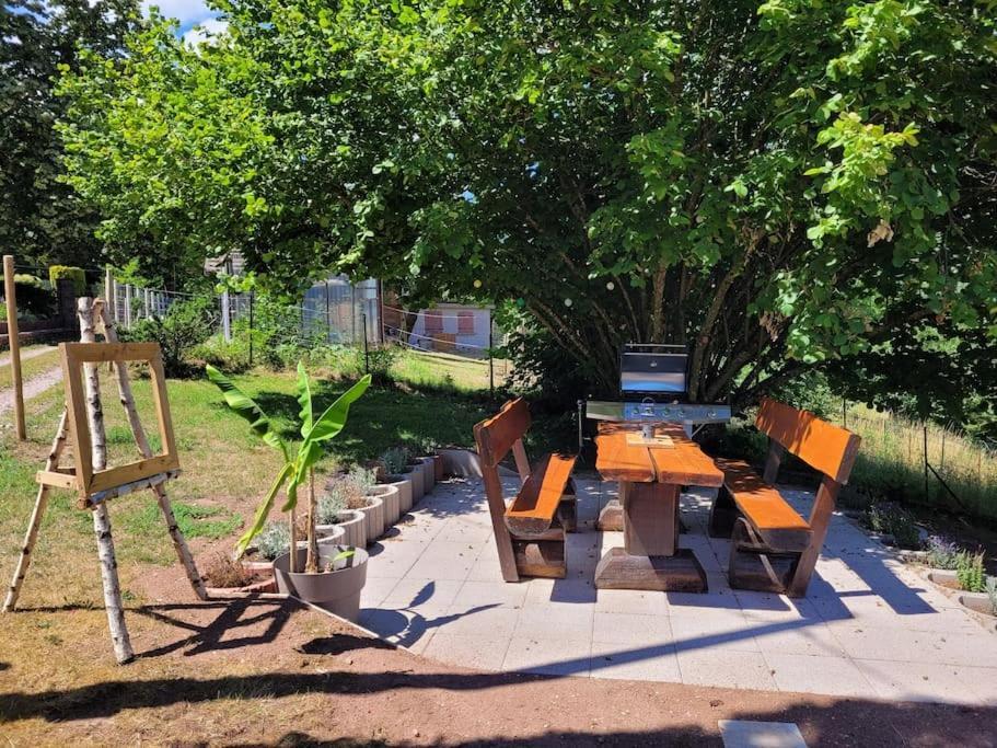 Gite Forestier Du Moulin Raon-sur-Plaine Exteriör bild