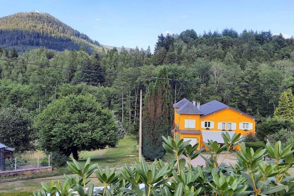 Gite Forestier Du Moulin Raon-sur-Plaine Exteriör bild