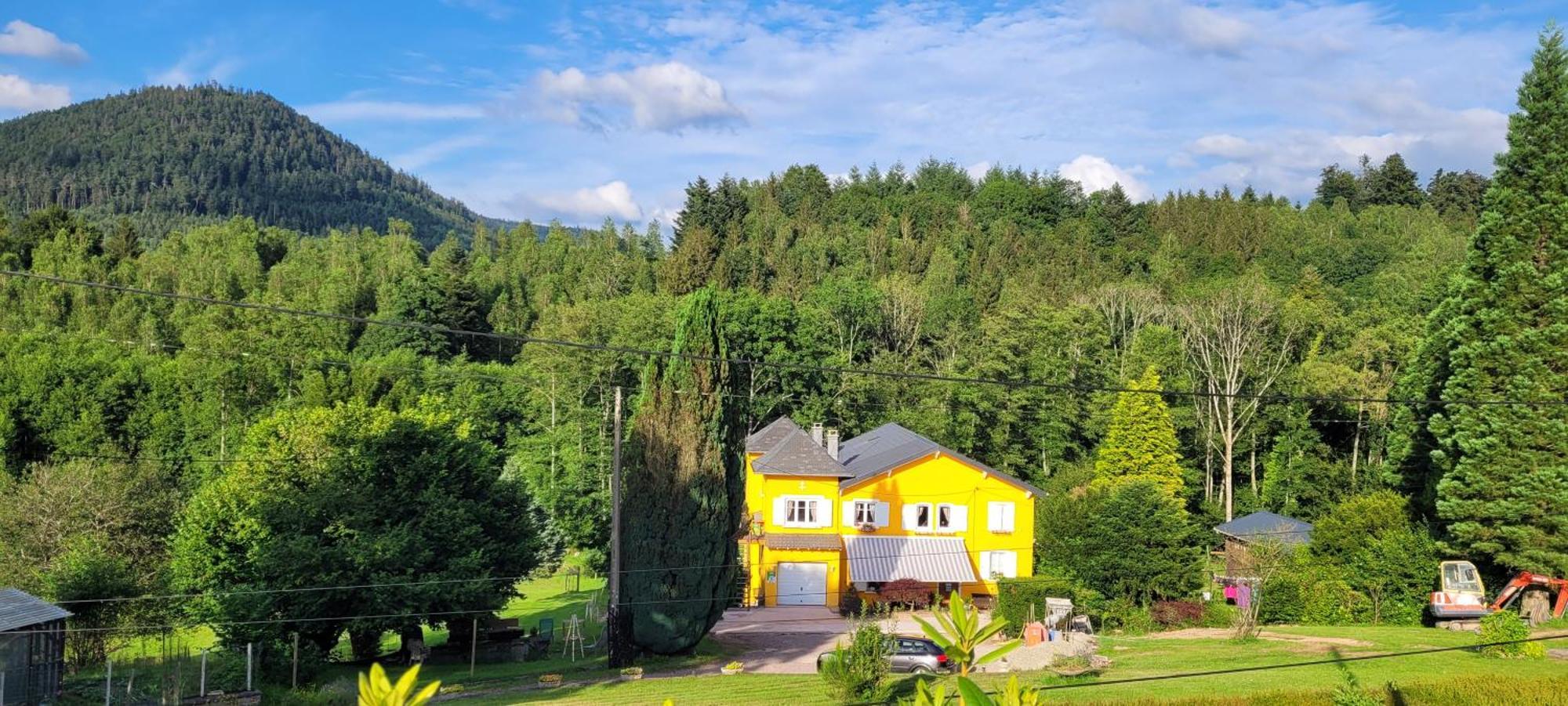 Gite Forestier Du Moulin Raon-sur-Plaine Exteriör bild
