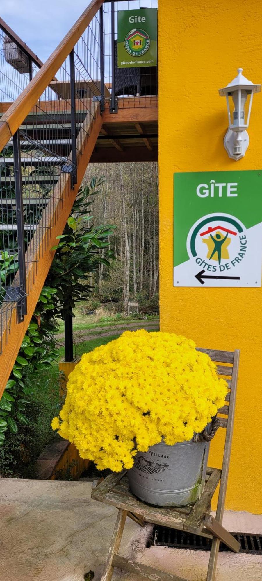 Gite Forestier Du Moulin Raon-sur-Plaine Exteriör bild