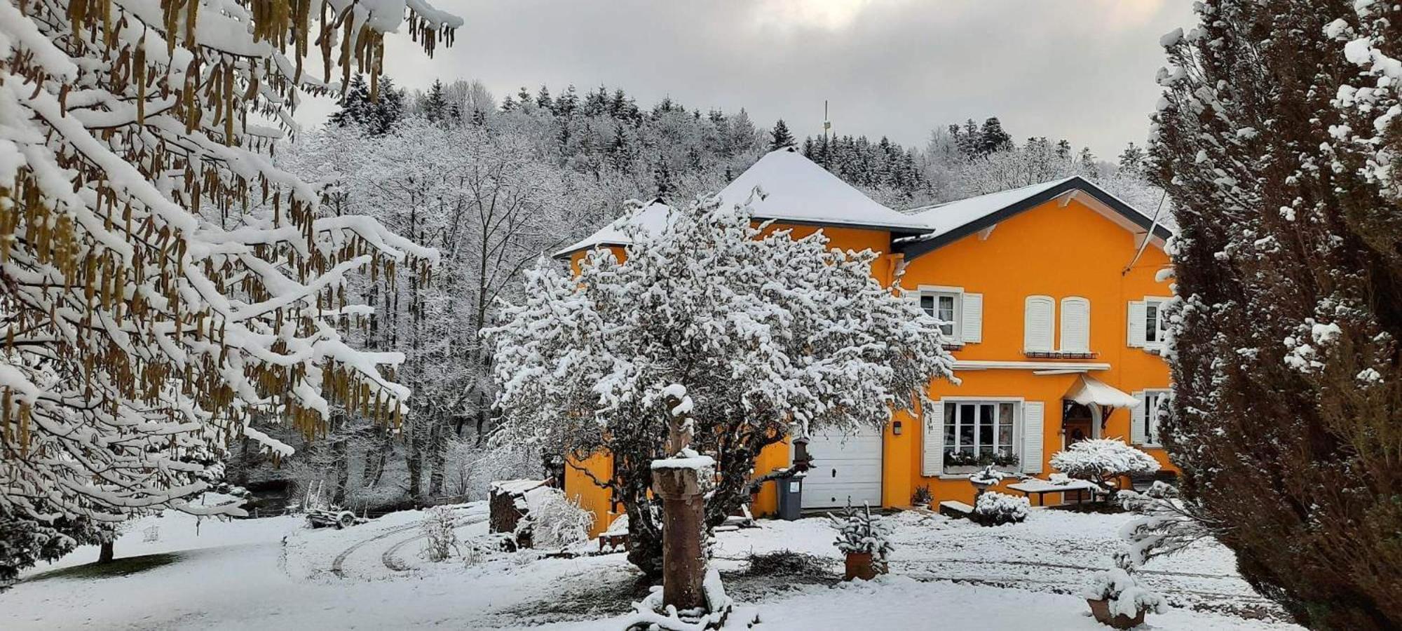 Gite Forestier Du Moulin Raon-sur-Plaine Exteriör bild